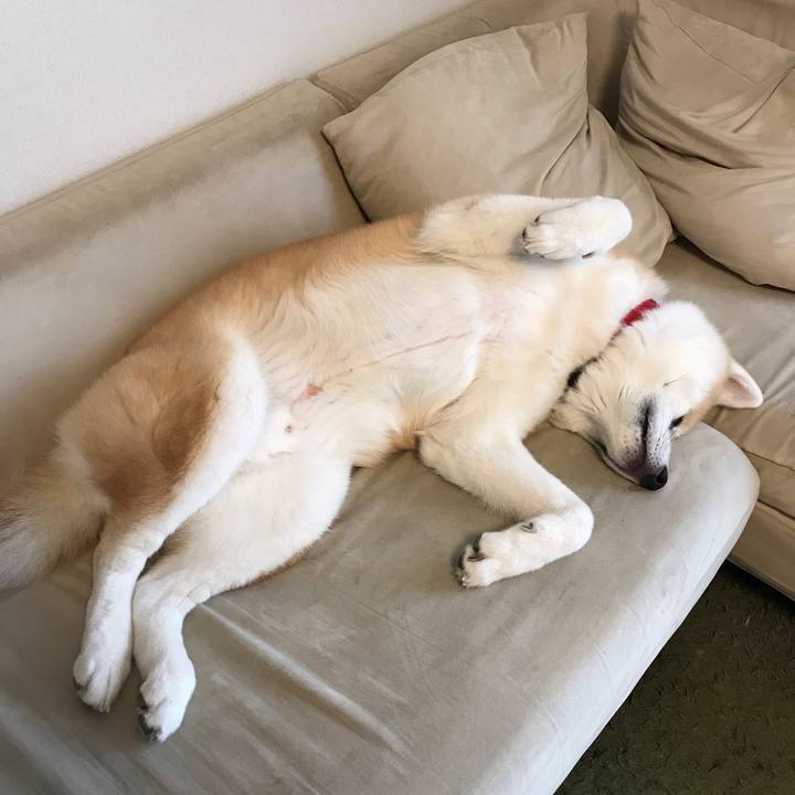 Edaa28d0 c934 4388 b167 6f8d724d87f5