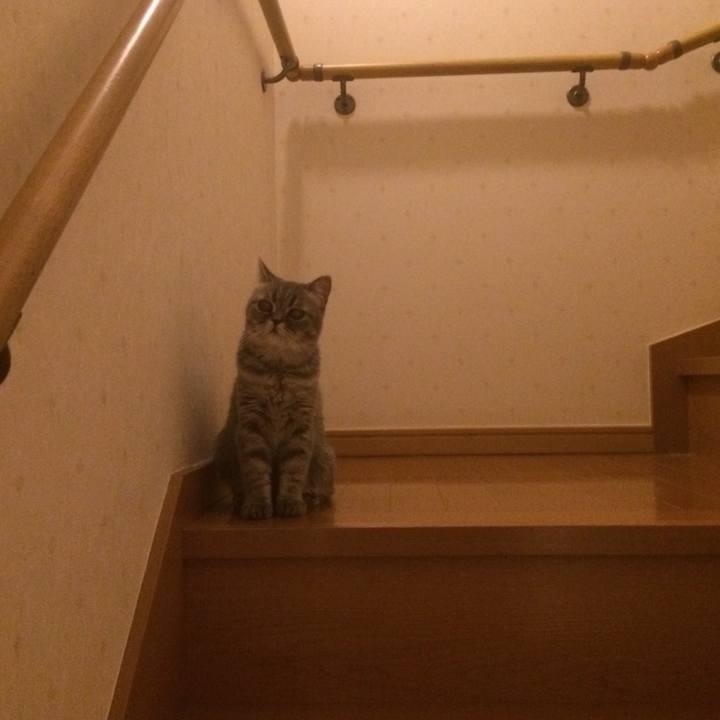 Edaa65e3 4064 4edb b742 11da707005d0