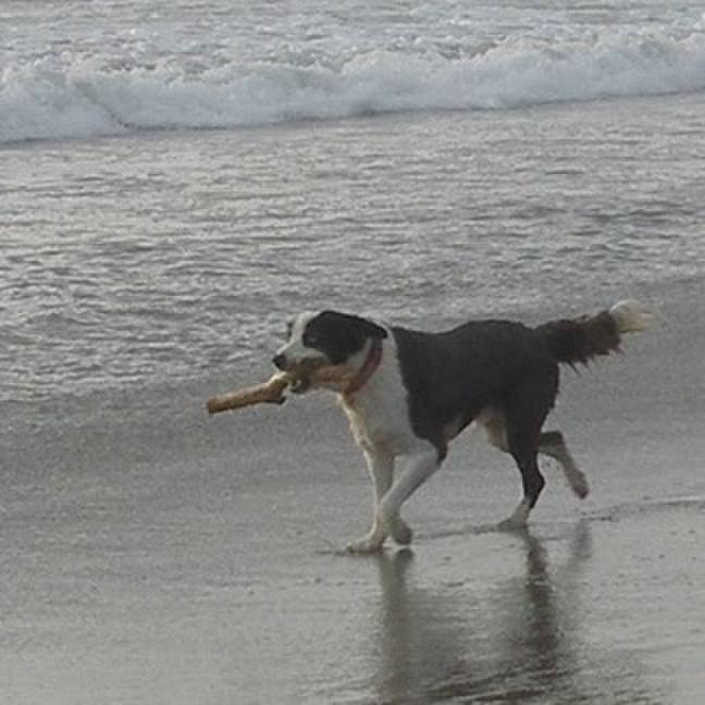 Edaaf598 3d7d 463c a6b3 044880dc3a94