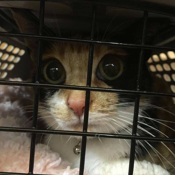 Edabcf22 bbdc 4616 ac2a 0808cef5d5ce