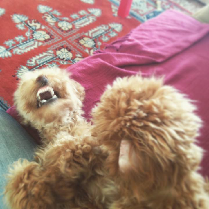 Edabf5fd e10e 4b19 b727 f54b84e98d07