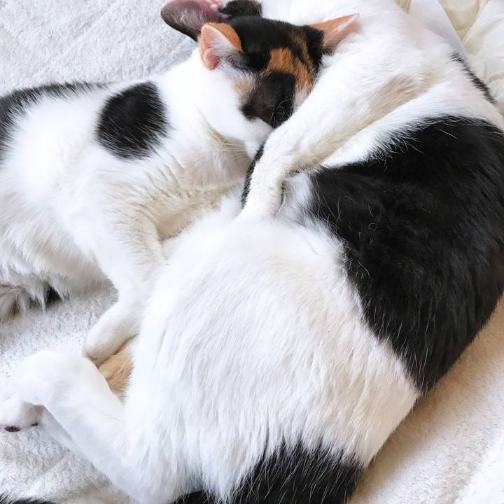 Edabf6f6 b9fb 4da9 942f 002cf3c6e587