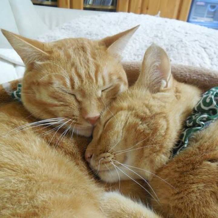 Edac199c 8bf5 43c9 9e47 6badc3e83070