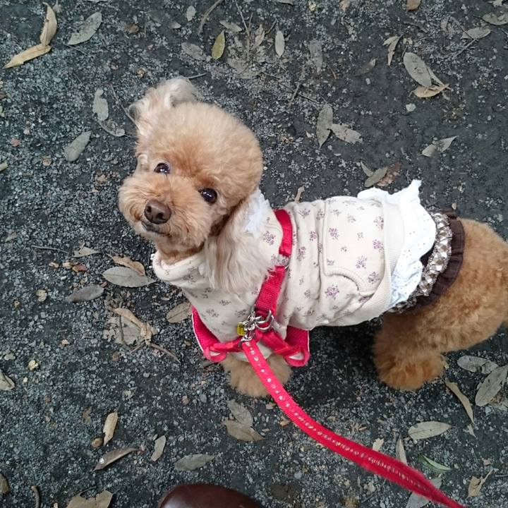 Edac2839 9c56 42fa af77 abc7a61d75a3