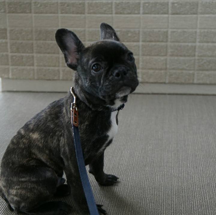 Edace312 be53 4181 8341 bcc44403bc7d