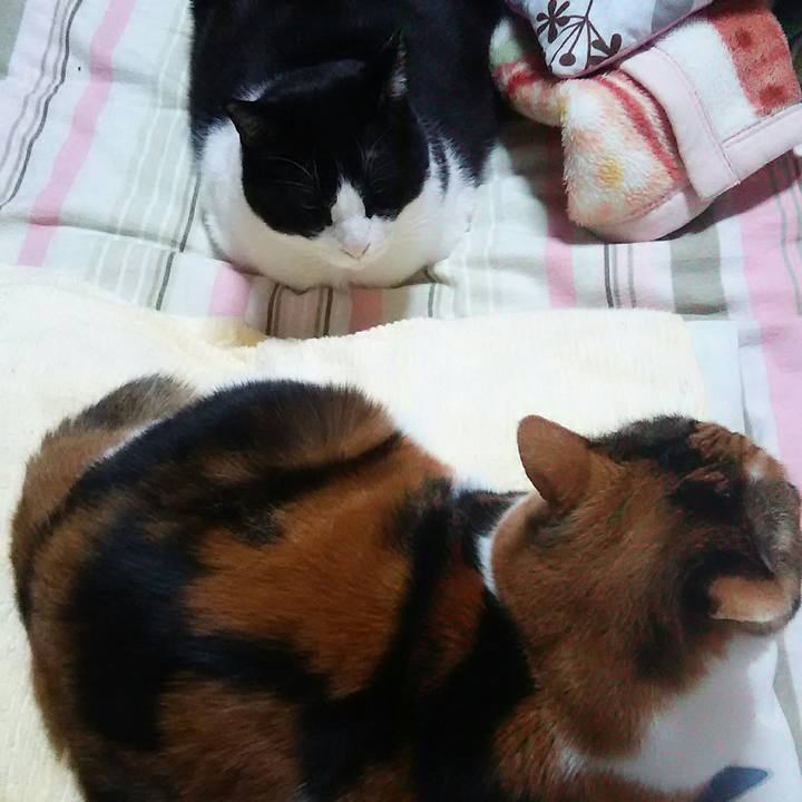 Edacf97b de1f 4d31 939d 2b69fbe4e847