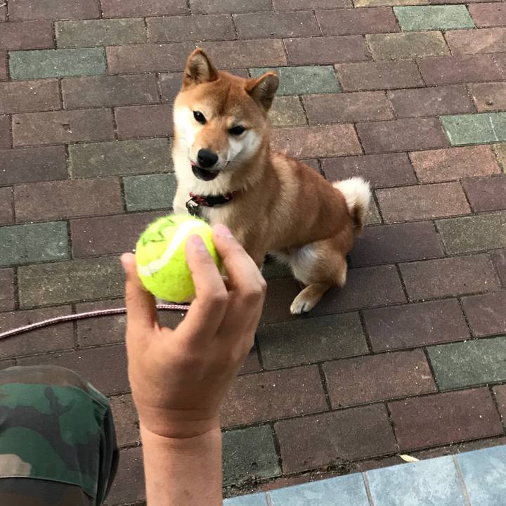 Edad2e5d 9ebc 4846 b583 a60ea541746b