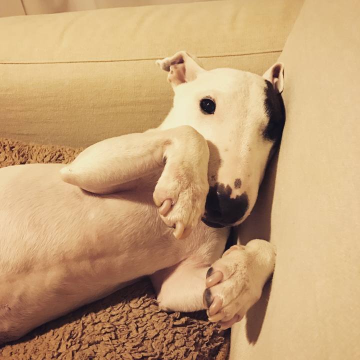 Edaf8ad4 58e2 425f b1b0 dd7bf2a250aa