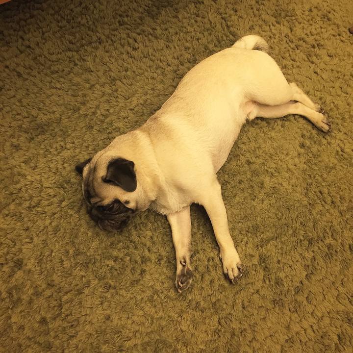 Edaf8fef 3db8 4bf4 a4ad 243279aa3ef9