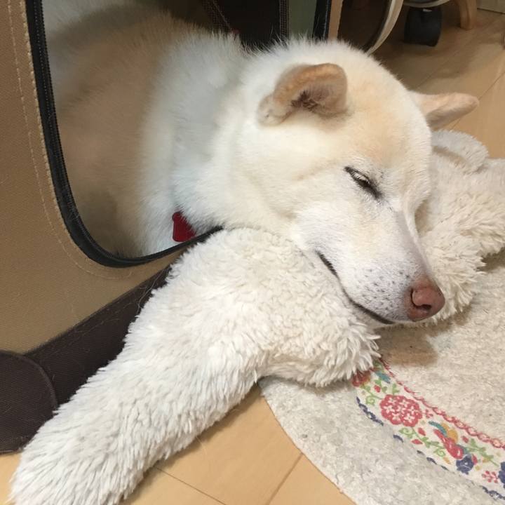 Edafa718 1b0c 422f bbd2 fb456499219d