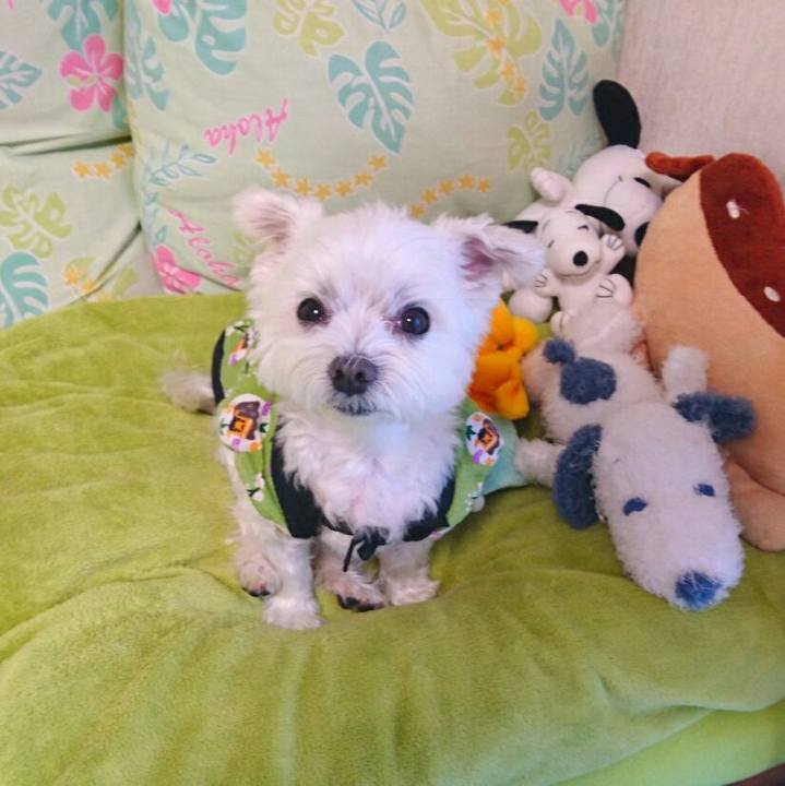 Edafbf32 2dc5 4fe4 b618 0e76eac15f95