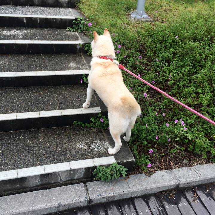 Edb00ded 1b51 4899 8bb9 555c507d8ba8