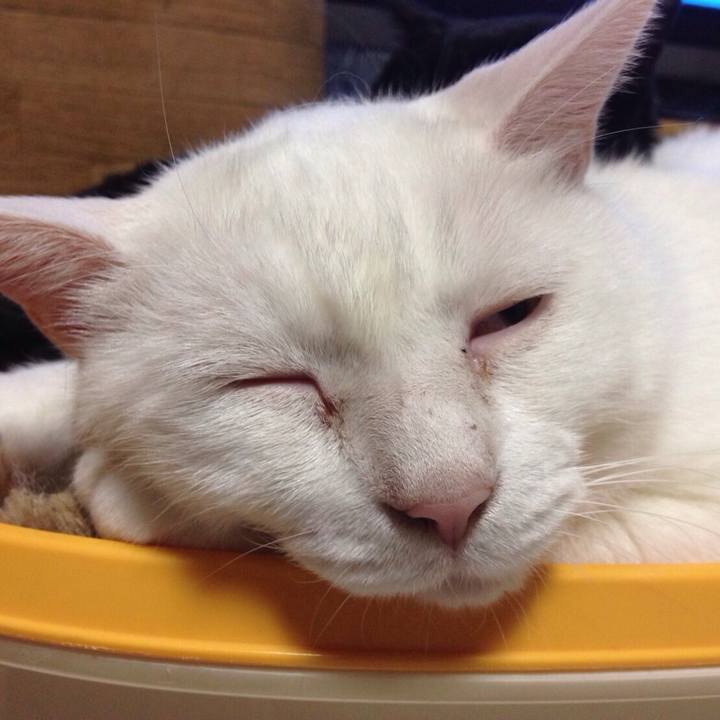 Edb01586 b569 4972 8b12 4c70ecaa433e