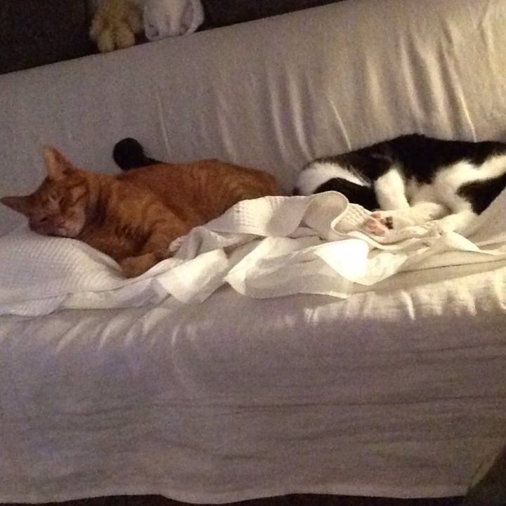 Edb0a48e c15f 4e7e 8cfd 2e2b9d8f55c2