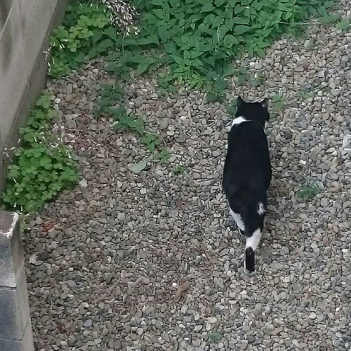 Edb10e3c 1c1d 4ff4 a91c 68f9c47c2184