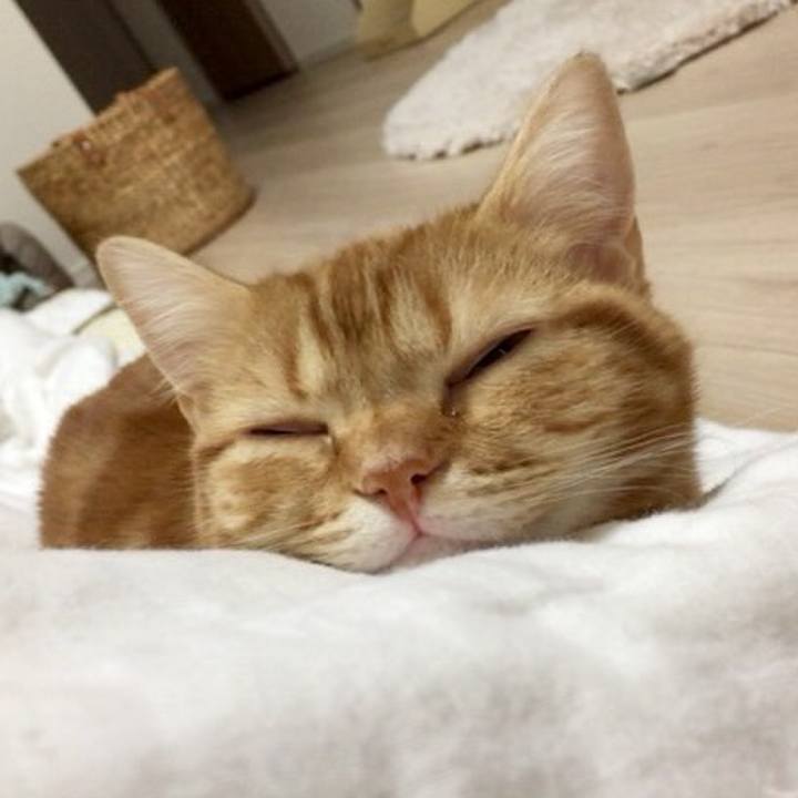 Edb1de22 5bd8 411e b370 6dba5354bb13