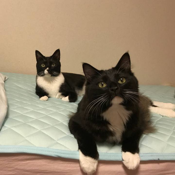 Edb1de77 9a80 4a18 8331 13be40890f23