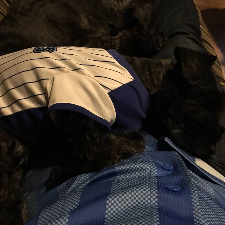 Edb1fb71 51ef 401c aa43 07c60f59d966