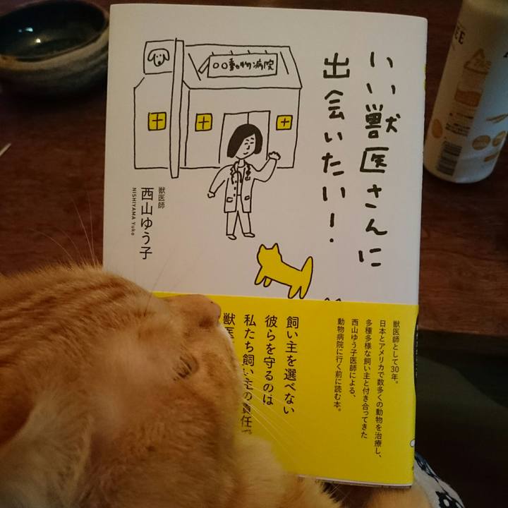 Edb200f7 c7ea 492d ba51 c57eead1a5ef