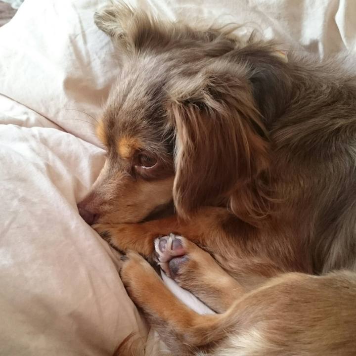 Edb20d61 d518 4275 9804 b78872b2918c