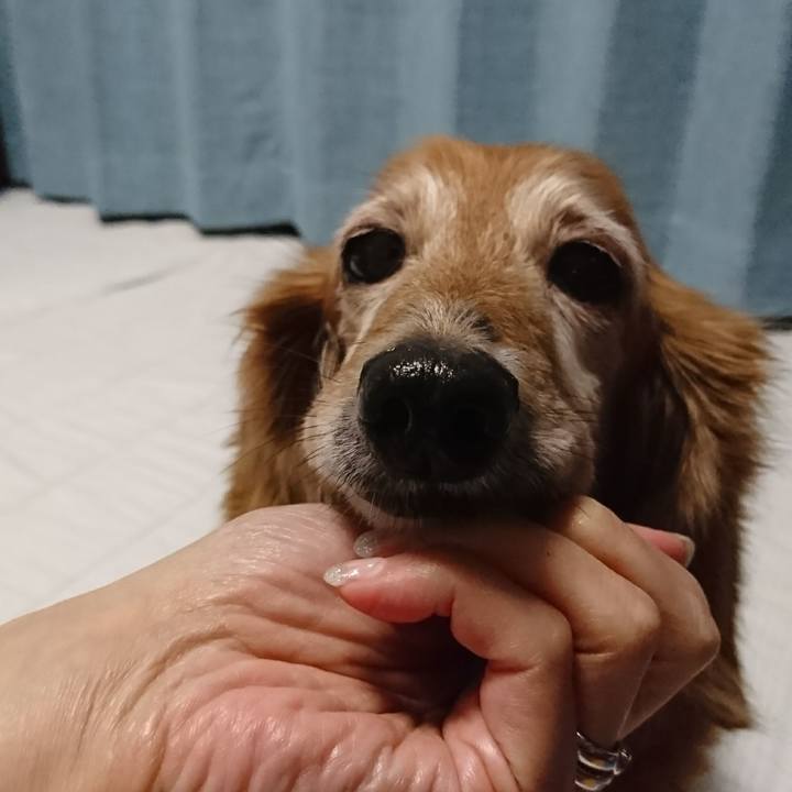 Edb22be0 32db 4e92 b52a 4d60f6c2f529