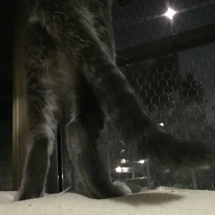 Edb25e8d eb5e 4076 98b3 89d736728925