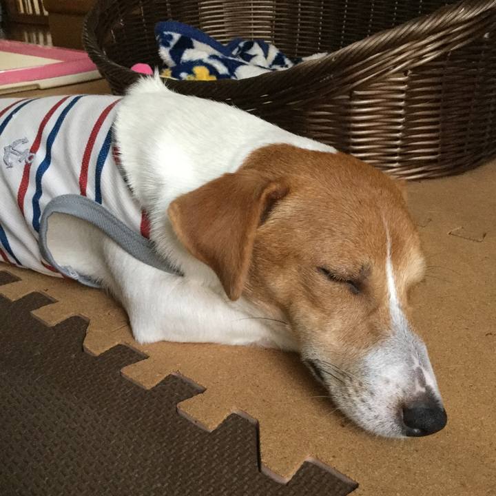 Edb334f5 7f51 4e31 8712 d7dd2cacaa48