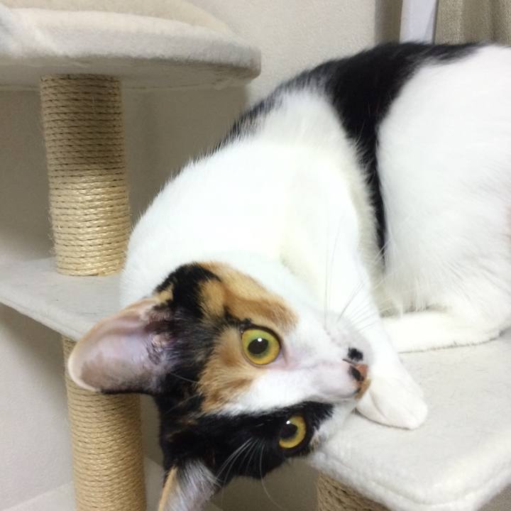 Edb341f3 1560 426a ae99 5faa48fa2677