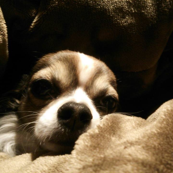 Edb348cb 9e85 4e7d b354 39f4c19d1762