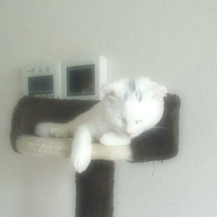 Edb39142 1153 4ff4 a229 01014e973621