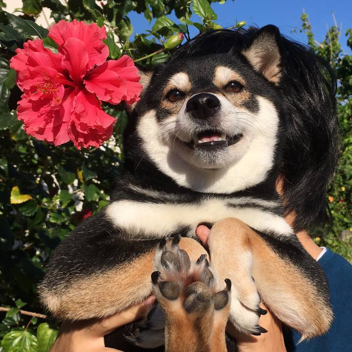 Edb3f1b5 f113 4d08 a8e4 d0c1edef7cb2