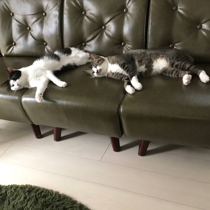 Edb499f3 6dd7 4c75 8d8d d9dec84293d9