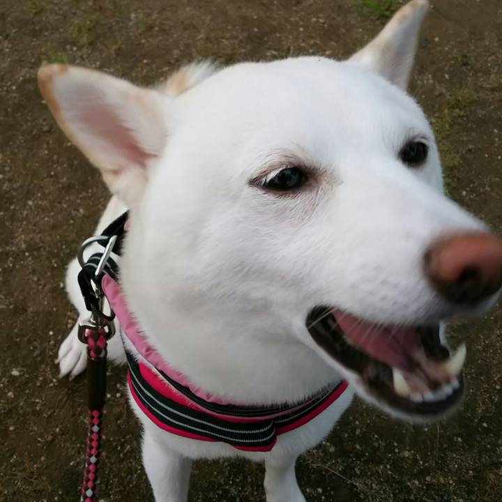 Edb4d60e a7b2 4c86 80a3 168ce0840c9c