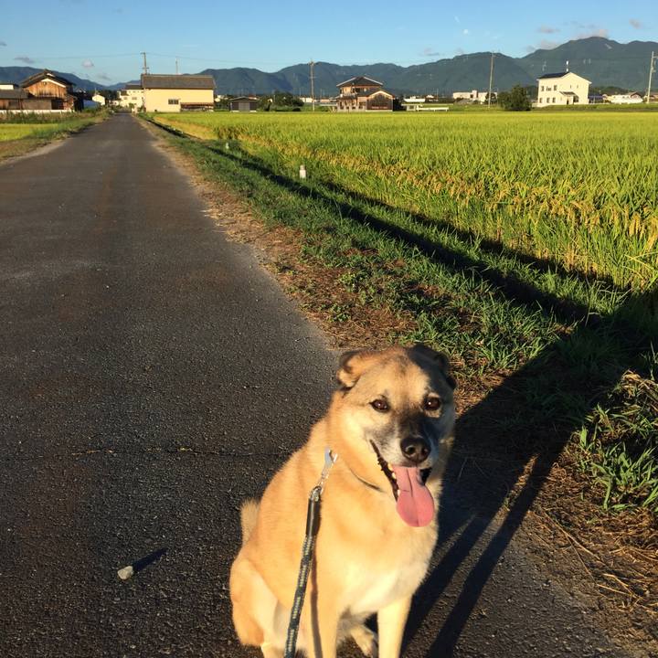 Edb54feb 3de5 42d2 875c 8a8cf6e3b0f4