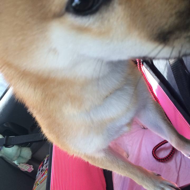 Edb5b538 ca1a 4590 93a1 db2a2c417515