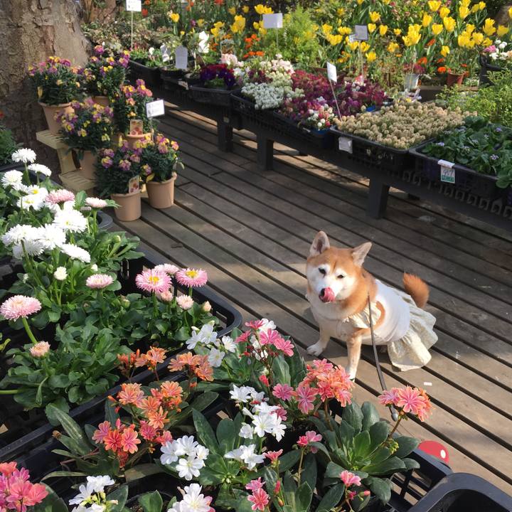 Edb65f53 7efe 4ae4 895f 4287b6a5e21f