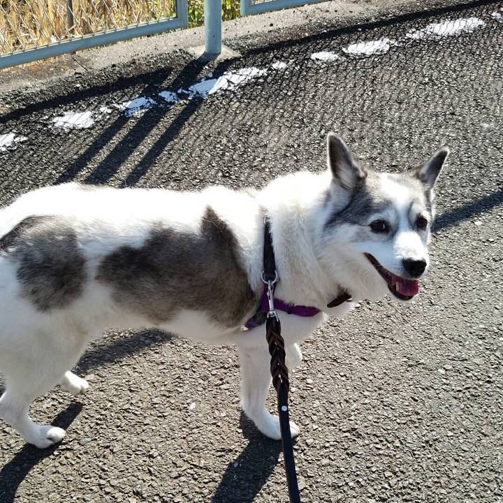 Edb70b47 1694 4ab6 962c c2479b062262