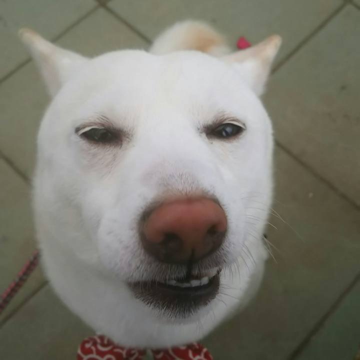 Edb71f8f 524e 45a5 8361 8795fa97de7e