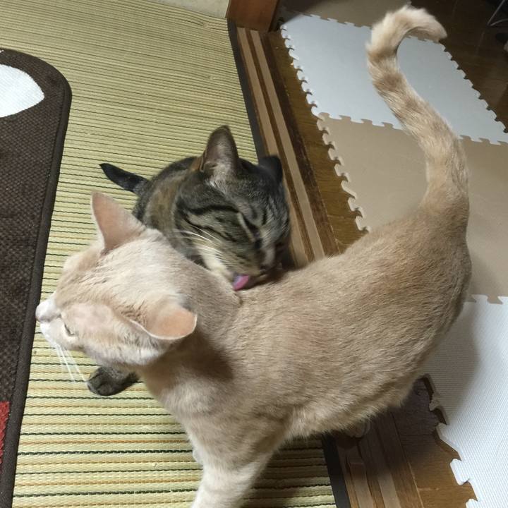 Edb7d57f 1f66 4fcb b8f5 c949a9bf3f10