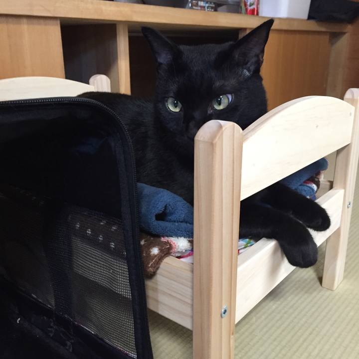 Edb7ec5e 0d37 4079 bbfd cdccef8b6ca4