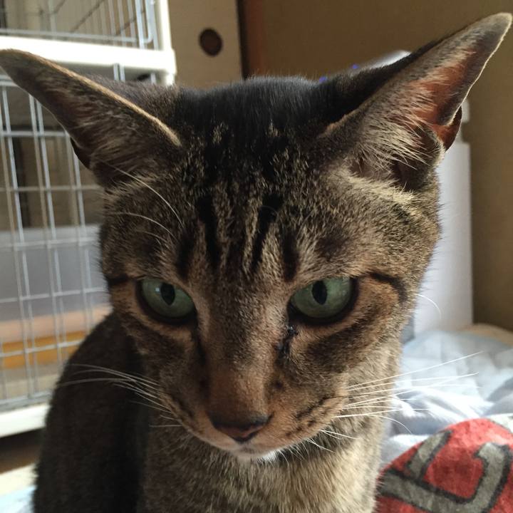 Edb7f843 cc89 424b 8e72 d202c90923ad