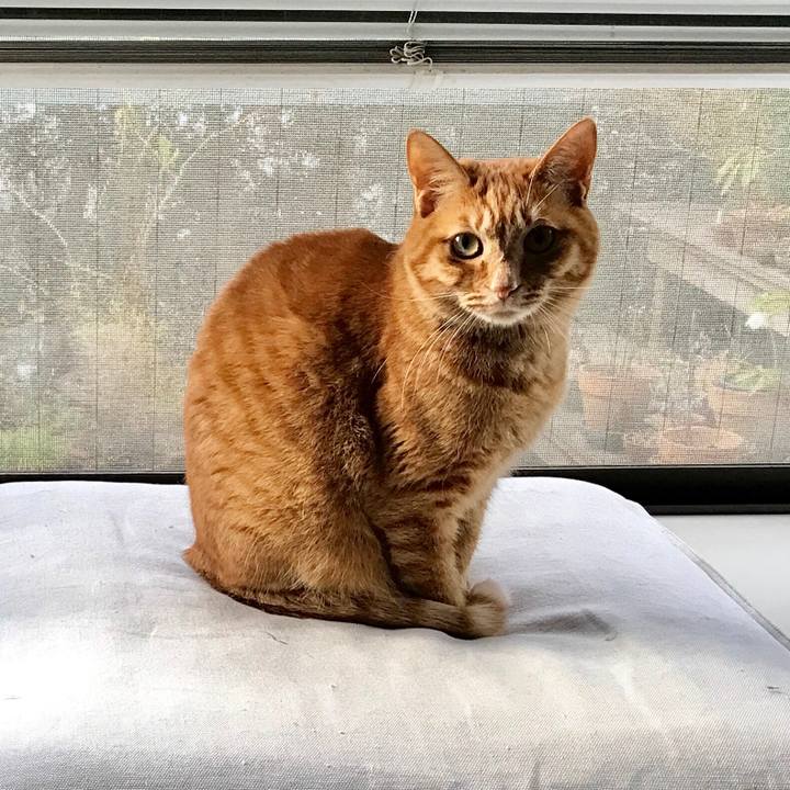 Edb81699 f319 429f ab67 aea877426e26