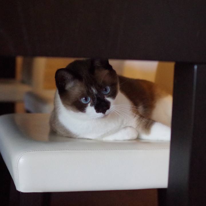 Edb83b91 dee0 4c36 845a 188aa363d167