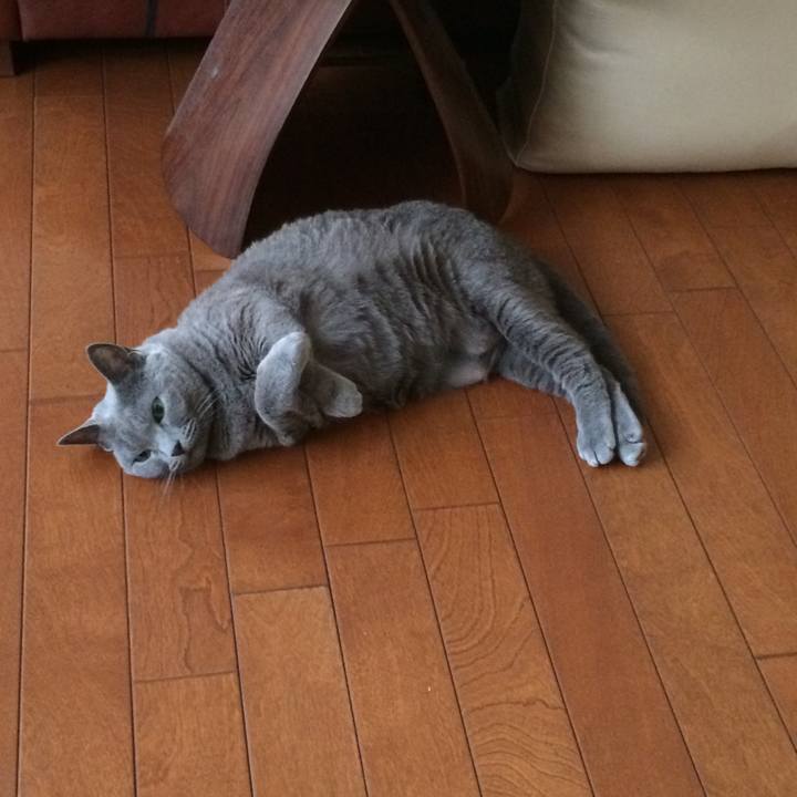 Edb8c8d6 1301 4c17 a992 626b69386d8c