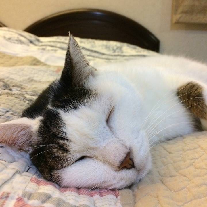 Edb94a92 5d2f 4211 8192 eebfdd110eca