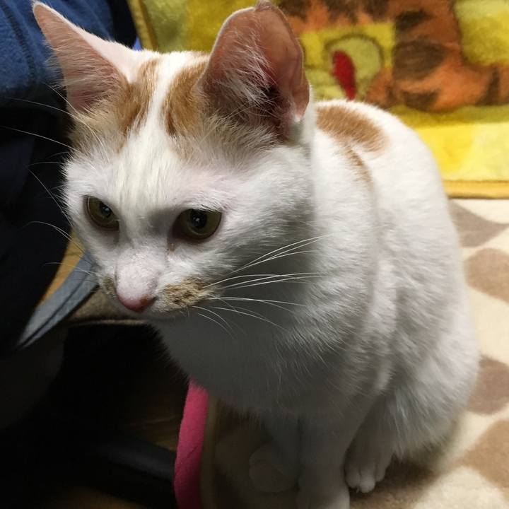 Edba7c2d 84ac 43fb a7f8 f6abfeb6fb1a