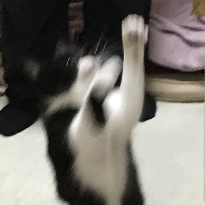 Edbab989 4988 4553 8a05 eef6e6a0818e