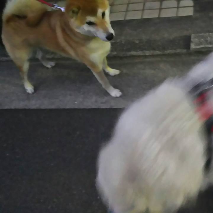 Edbb6729 15c4 408b 9d4b 4891dc701145