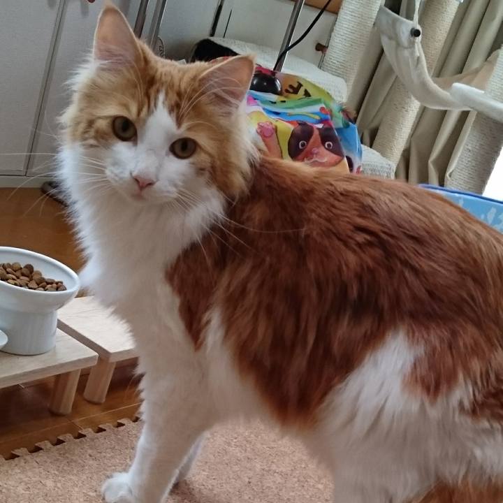 Edbbd07f cf2a 4210 882d 67dc9628499f