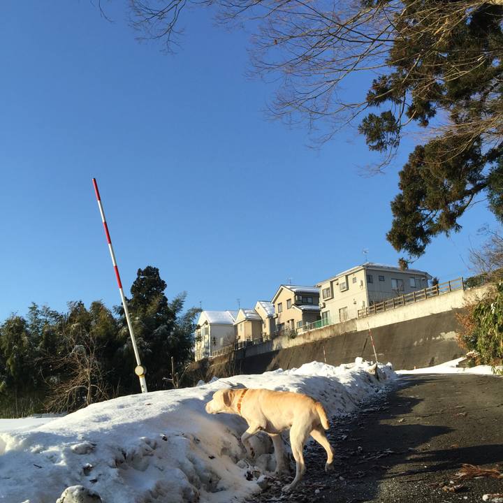 Edbc2548 4add 41d3 b9f4 383cccc93539